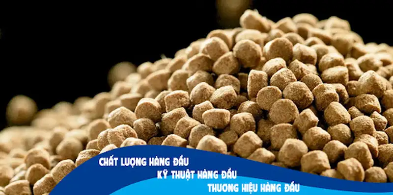 Các loại thức ăn cho ếch 3