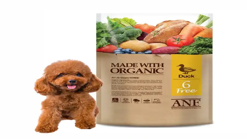 Lưu ý về chế độ dinh dưỡng của chó Poodle 2